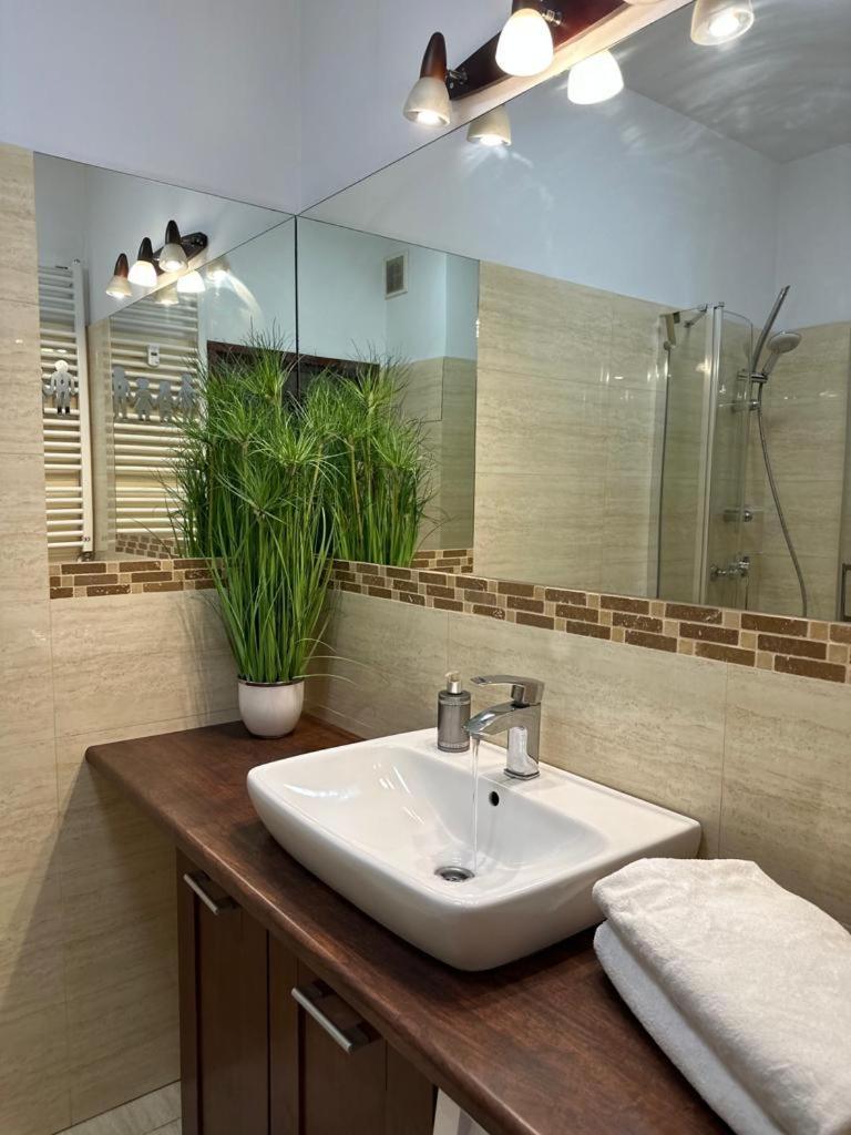 Apartament Przy Rynku Poznan Bagian luar foto