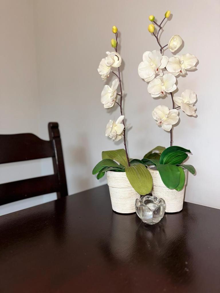Apartament Przy Rynku Poznan Bagian luar foto